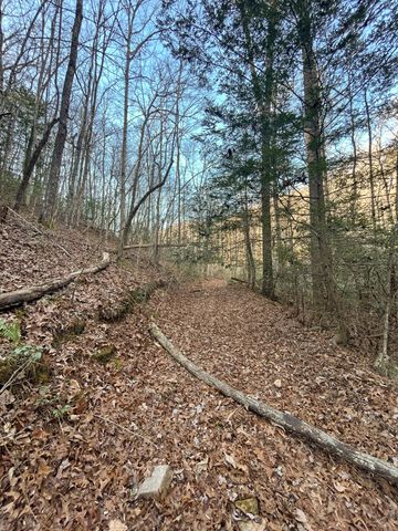 0 Deerhead Road 5, Dunlap, TN 37327