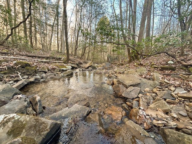 0 Deerhead Road 5, Dunlap, TN 37327
