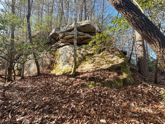 0 Deerhead Road 5, Dunlap, TN 37327