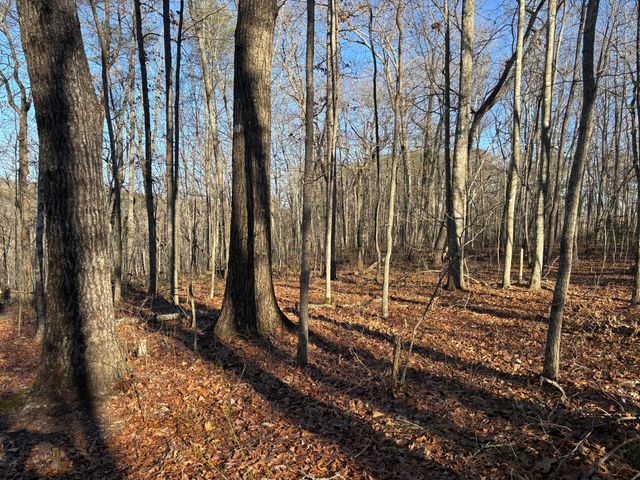 0 Deerhead Road 5, Dunlap, TN 37327