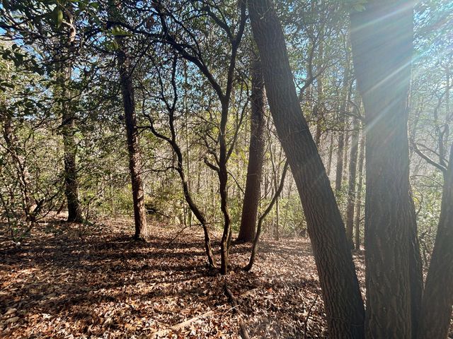 0 Deerhead Road 5, Dunlap, TN 37327