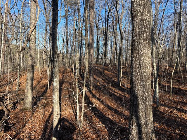 0 Deerhead Road 5, Dunlap, TN 37327
