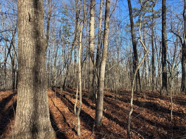 0 Deerhead Road 5, Dunlap, TN 37327