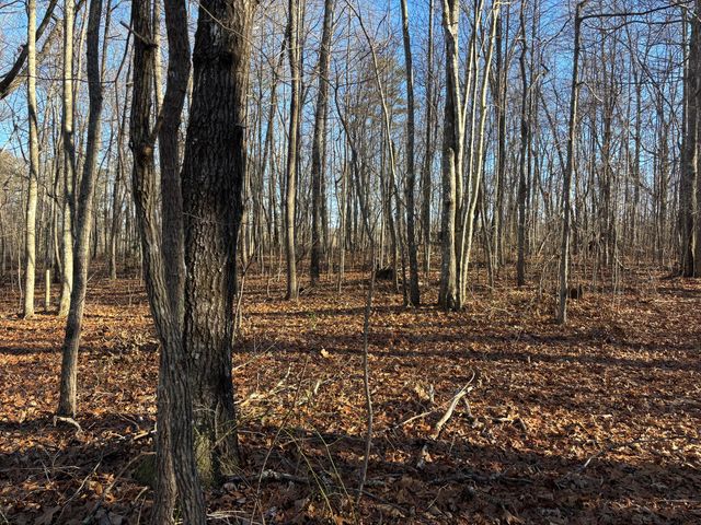 0 Deerhead Road 5, Dunlap, TN 37327