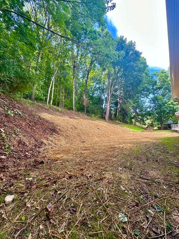 105 Ridgewood CIR, Covington, VA 24426