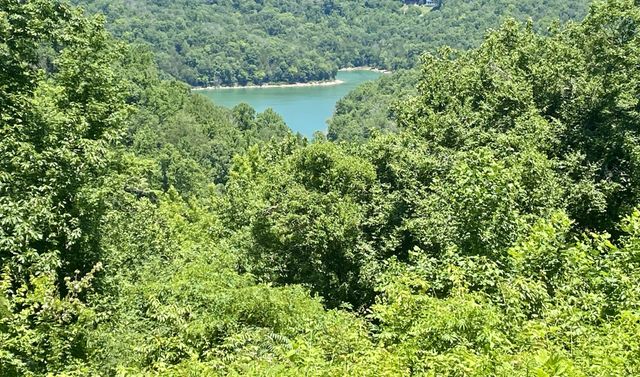 0 Dogwood Place, Smithville, TN 37166