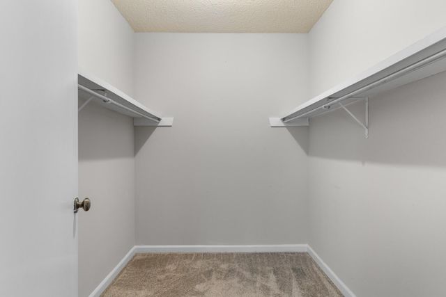 6524 White Heron Crescent, Myrtle Beach, SC 29588