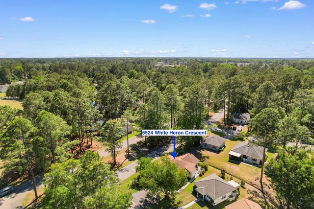 6524 White Heron Crescent, Myrtle Beach, SC 29588