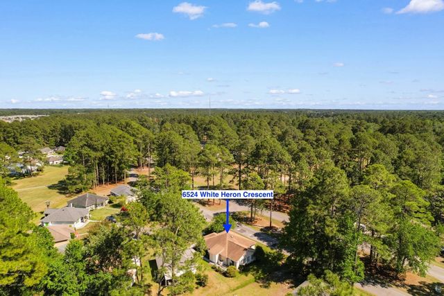 6524 White Heron Crescent, Myrtle Beach, SC 29588