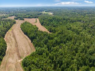 0 Sand Ridge Bargerton Rd, Lexington, TN 38351