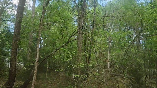 Lot 6 Thornwood Drive, Plantersville, TX 77363