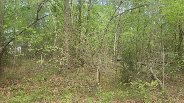 Lot 6 Thornwood Drive, Plantersville, TX 77363
