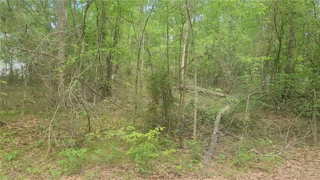 Lot 6 Thornwood Drive, Plantersville, TX 77363