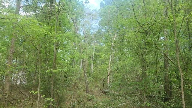 Lot 6 Thornwood Drive, Plantersville, TX 77363