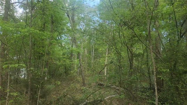Lot 6 Thornwood Drive, Plantersville, TX 77363