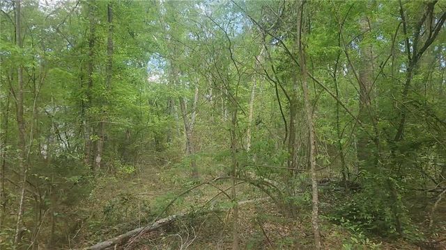 Lot 6 Thornwood Drive, Plantersville, TX 77363