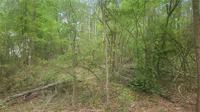 Lot 6 Thornwood Drive, Plantersville, TX 77363