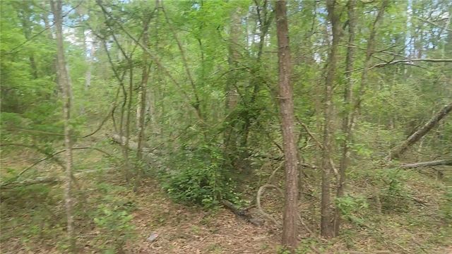 Lot 6 Thornwood Drive, Plantersville, TX 77363