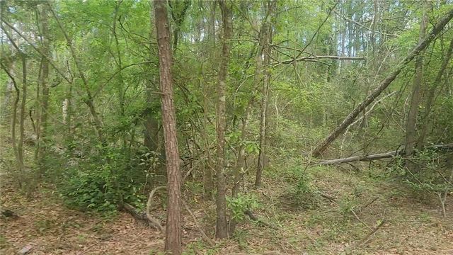 Lot 6 Thornwood Drive, Plantersville, TX 77363