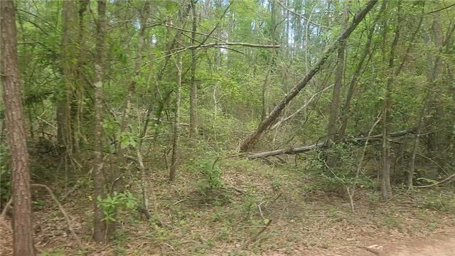 Lot 6 Thornwood Drive, Plantersville, TX 77363