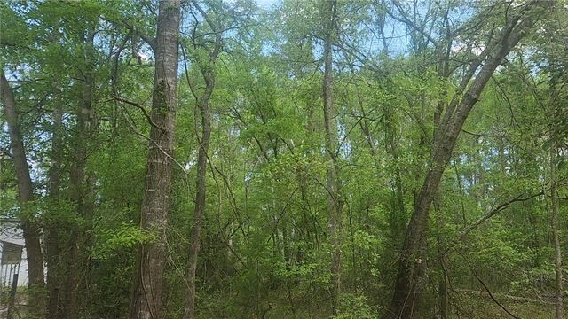 Lot 6 Thornwood Drive, Plantersville, TX 77363