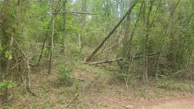 Lot 6 Thornwood Drive, Plantersville, TX 77363