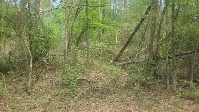 Lot 6 Thornwood Drive, Plantersville, TX 77363