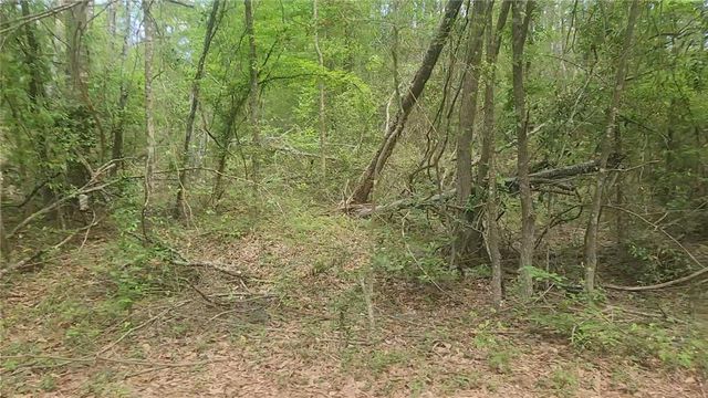 Lot 6 Thornwood Drive, Plantersville, TX 77363
