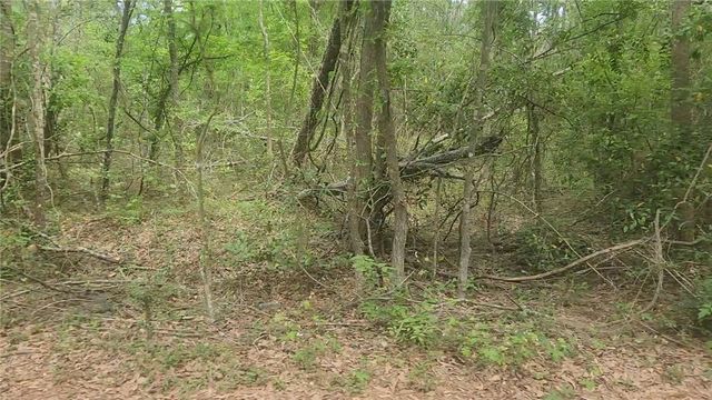 Lot 6 Thornwood Drive, Plantersville, TX 77363