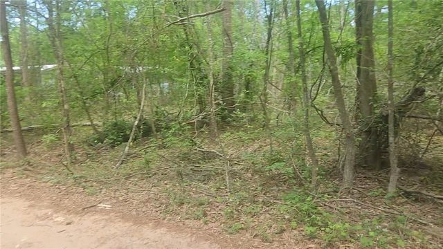 Lot 6 Thornwood Drive, Plantersville, TX 77363
