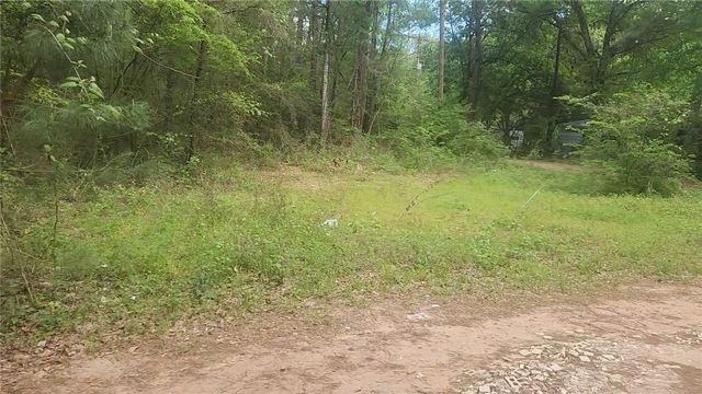 Lot 6 Thornwood Drive, Plantersville, TX 77363