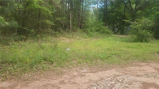 Lot 6 Thornwood Drive, Plantersville, TX 77363