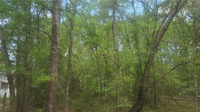 Lot 6 Thornwood Drive, Plantersville, TX 77363