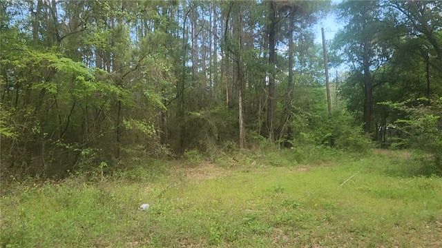 Lot 6 Thornwood Drive, Plantersville, TX 77363