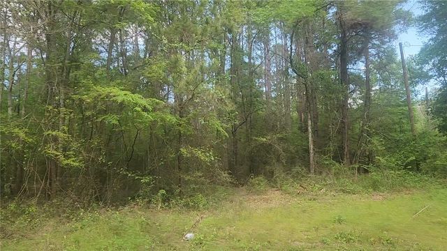 Lot 6 Thornwood Drive, Plantersville, TX 77363