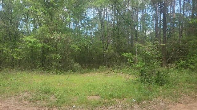 Lot 6 Thornwood Drive, Plantersville, TX 77363