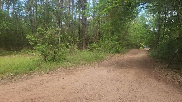 Lot 6 Thornwood Drive, Plantersville, TX 77363