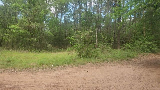 Lot 6 Thornwood Drive, Plantersville, TX 77363