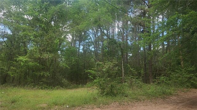 Lot 6 Thornwood Drive, Plantersville, TX 77363