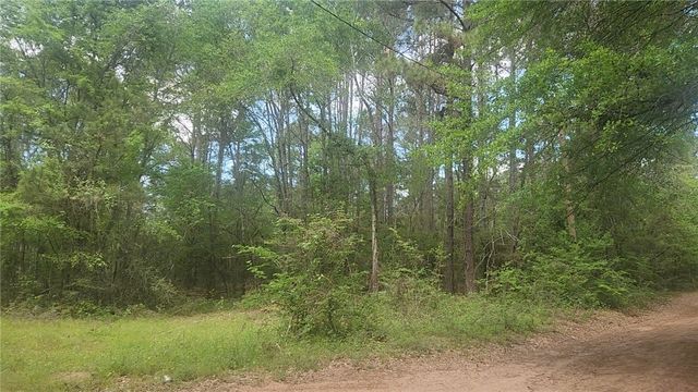 Lot 6 Thornwood Drive, Plantersville, TX 77363