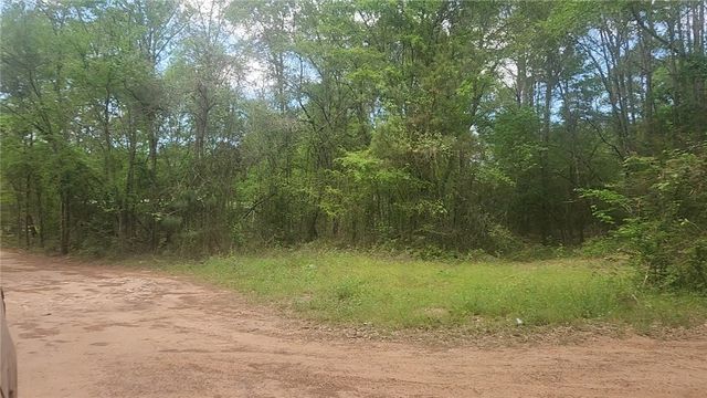 Lot 6 Thornwood Drive, Plantersville, TX 77363
