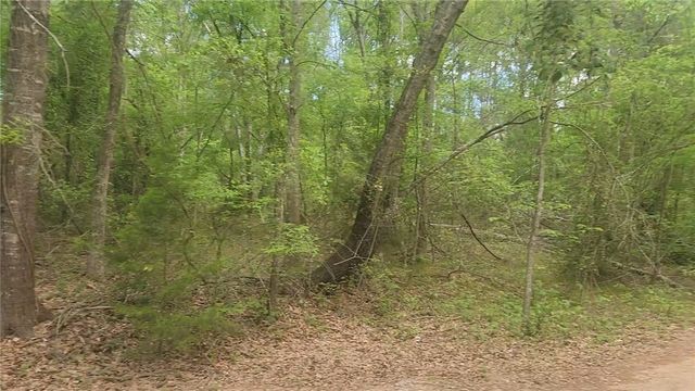 Lot 6 Thornwood Drive, Plantersville, TX 77363