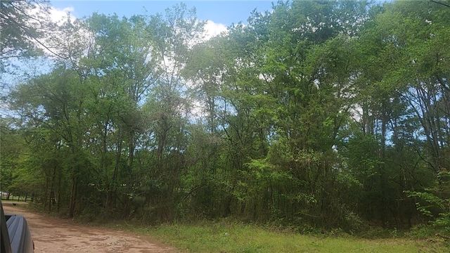 Lot 6 Thornwood Drive, Plantersville, TX 77363