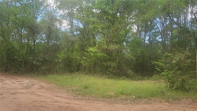Lot 6 Thornwood Drive, Plantersville, TX 77363