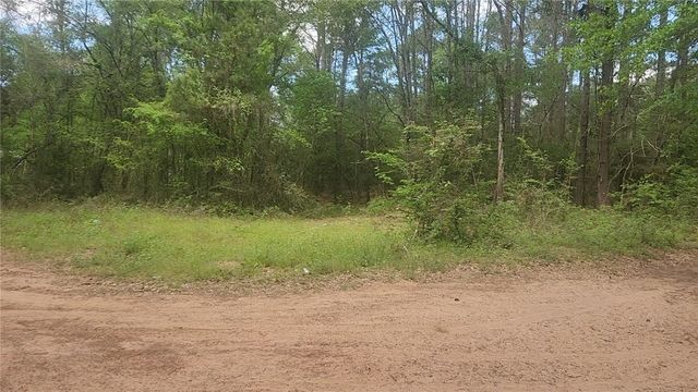 Lot 6 Thornwood Drive, Plantersville, TX 77363
