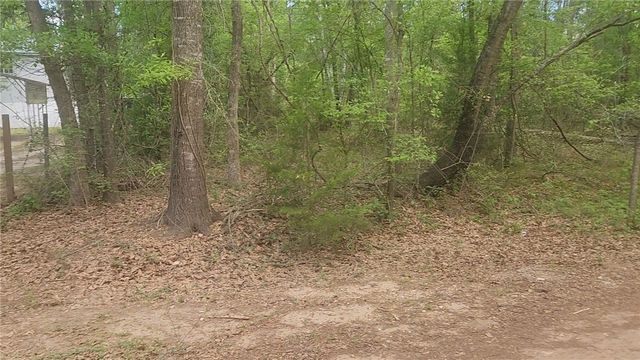 Lot 6 Thornwood Drive, Plantersville, TX 77363