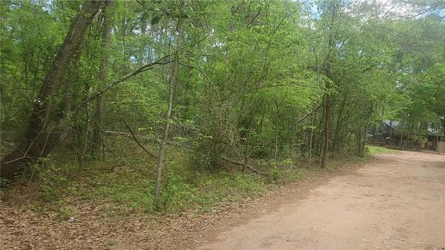 Lot 6 Thornwood Drive, Plantersville, TX 77363
