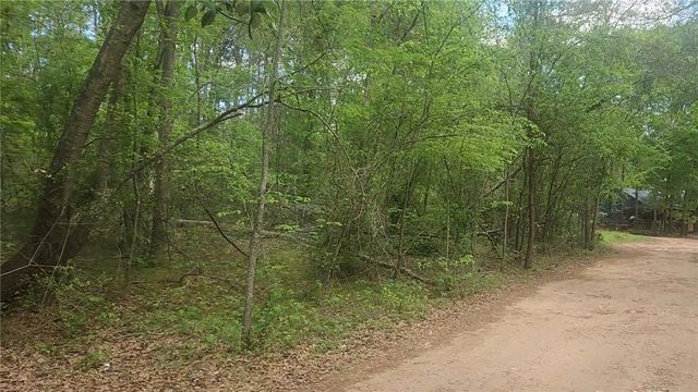 Lot 6 Thornwood Drive, Plantersville, TX 77363