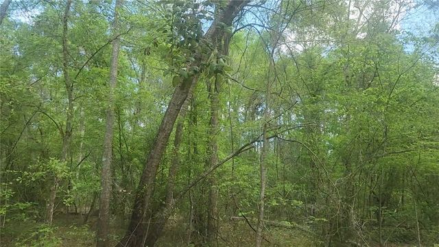 Lot 6 Thornwood Drive, Plantersville, TX 77363