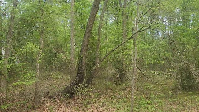 Lot 6 Thornwood Drive, Plantersville, TX 77363